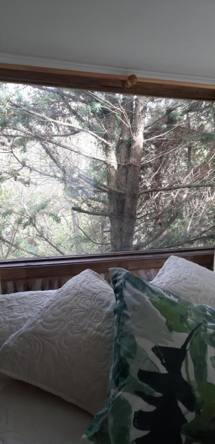 Eco Cabana Puerto Varas Eksteriør billede