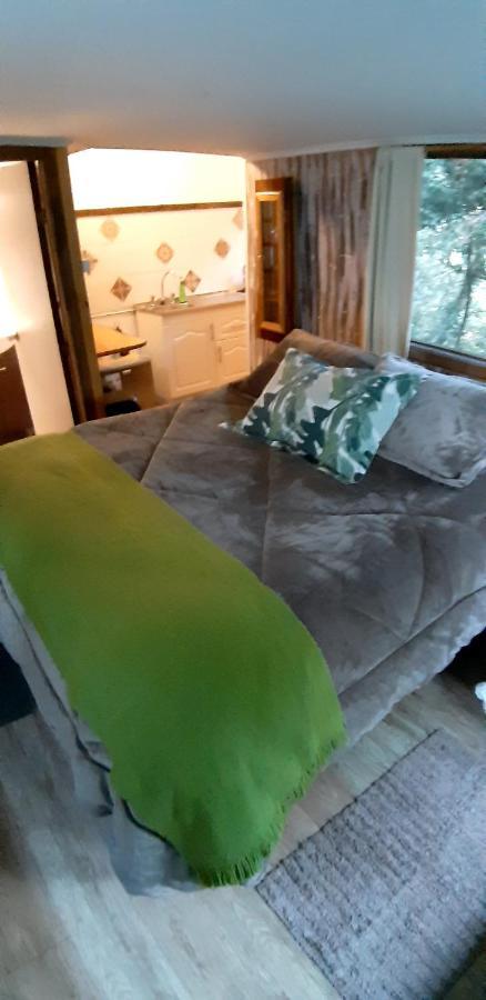 Eco Cabana Puerto Varas Eksteriør billede