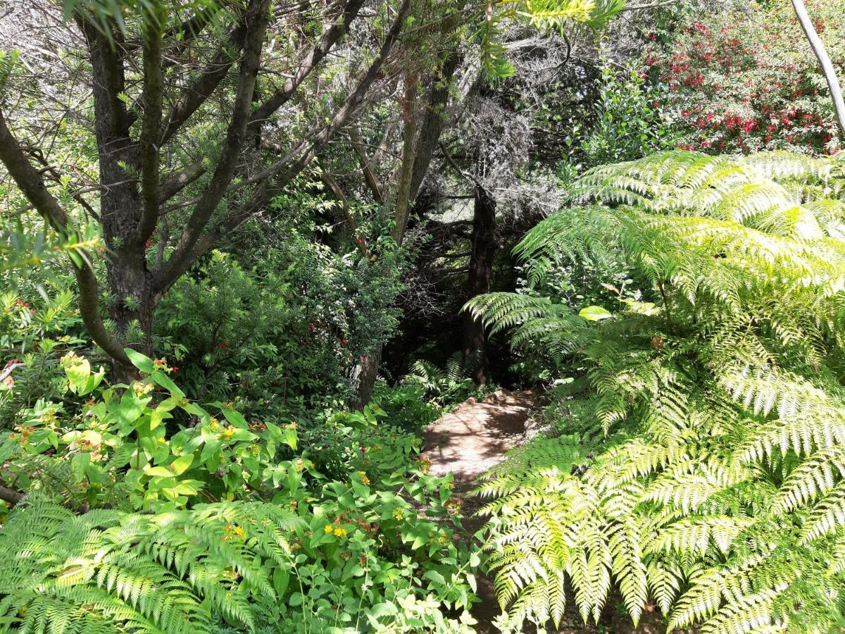 Eco Cabana Puerto Varas Eksteriør billede